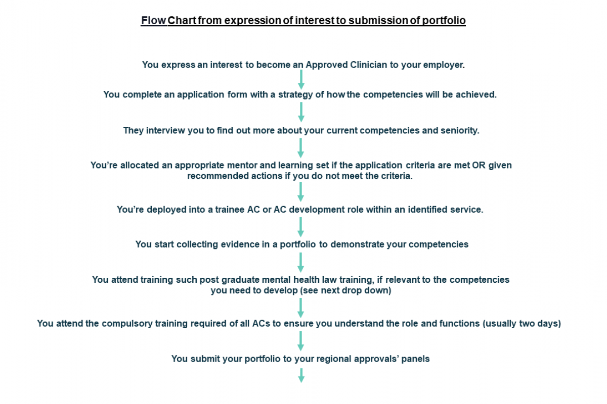 Flow Chart from expression of interest to submission of portfolio