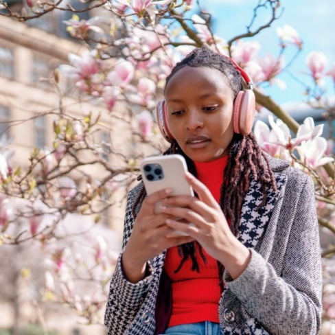 Blossom mobile phone image